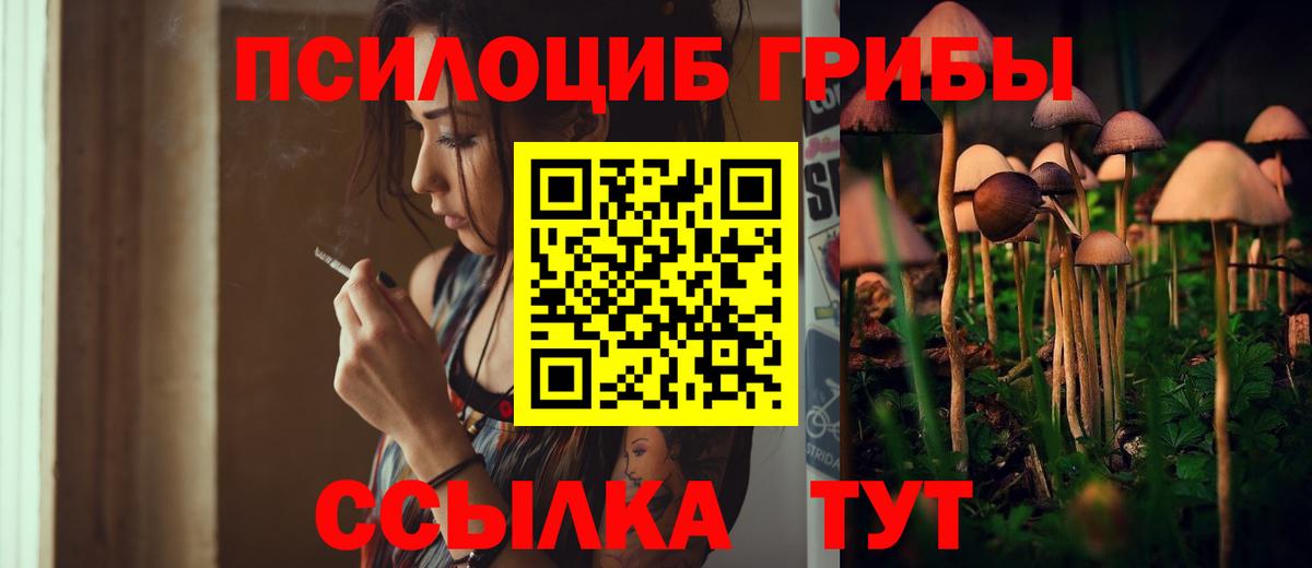 Псилоцибиновые грибы Magic Shrooms Луховицы